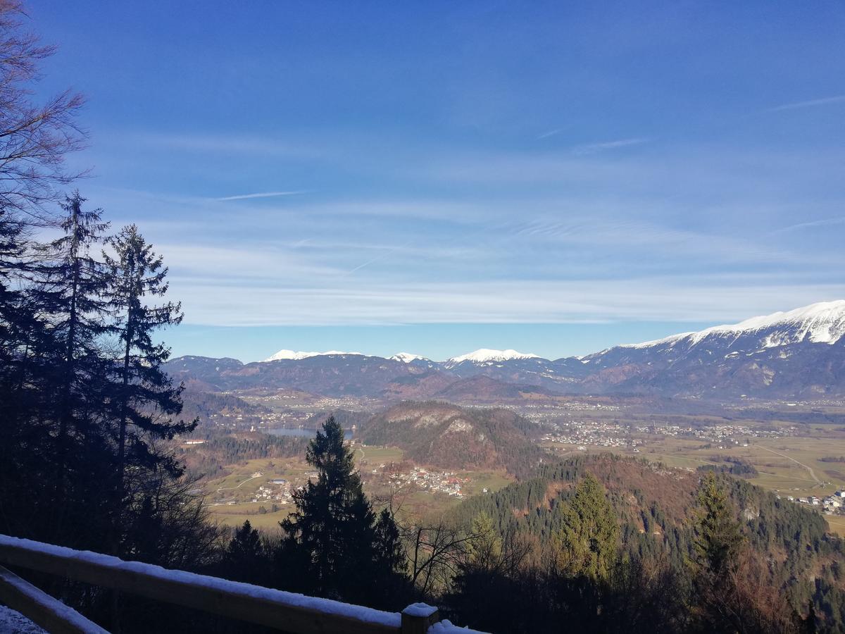 Koca Na Talezu Bed & Breakfast Ribno Dış mekan fotoğraf