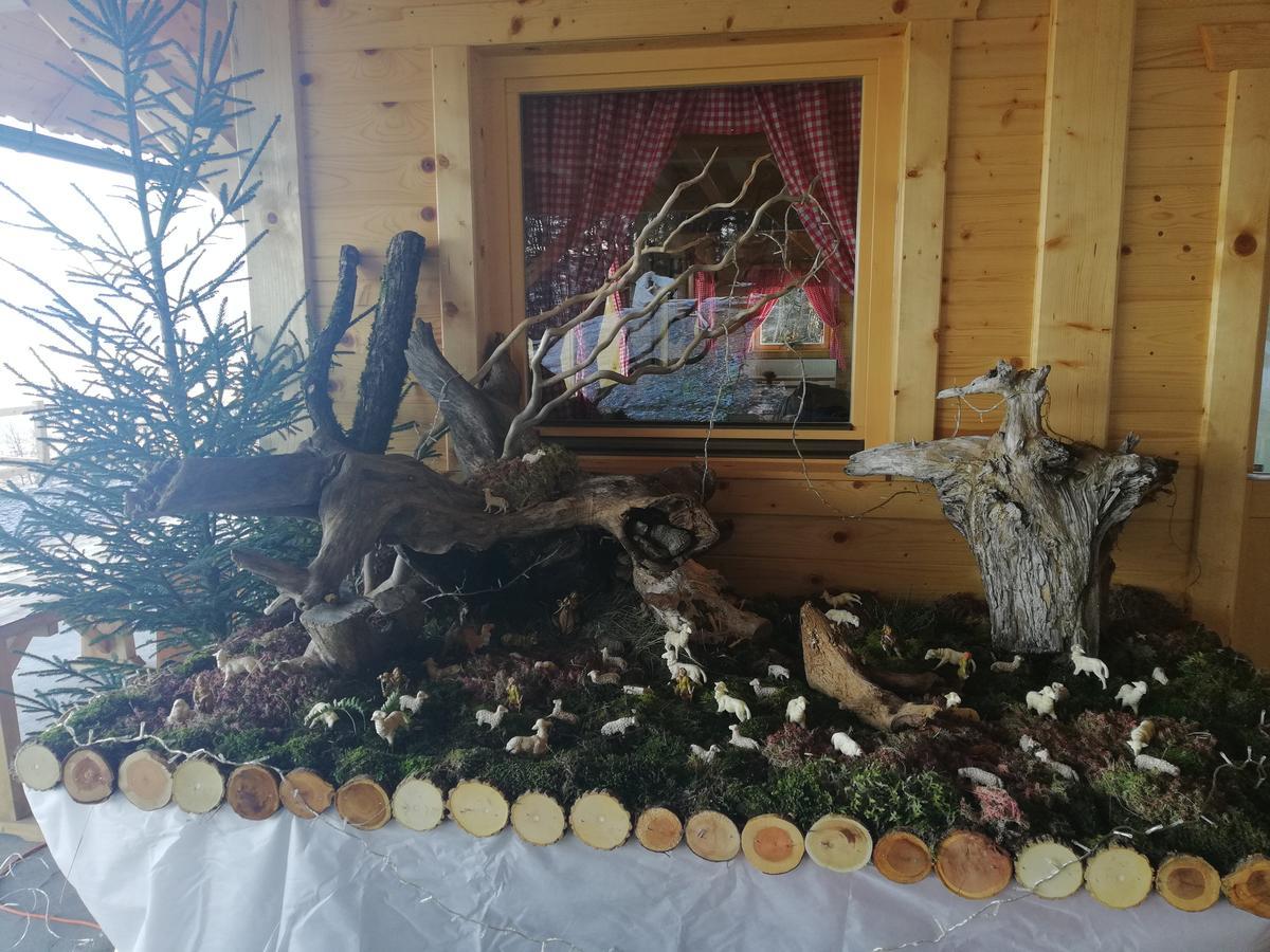 Koca Na Talezu Bed & Breakfast Ribno Dış mekan fotoğraf