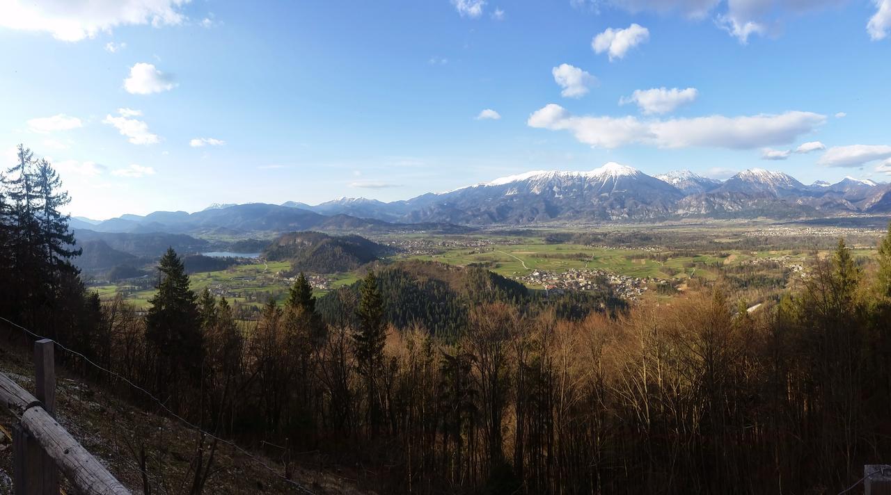Koca Na Talezu Bed & Breakfast Ribno Dış mekan fotoğraf