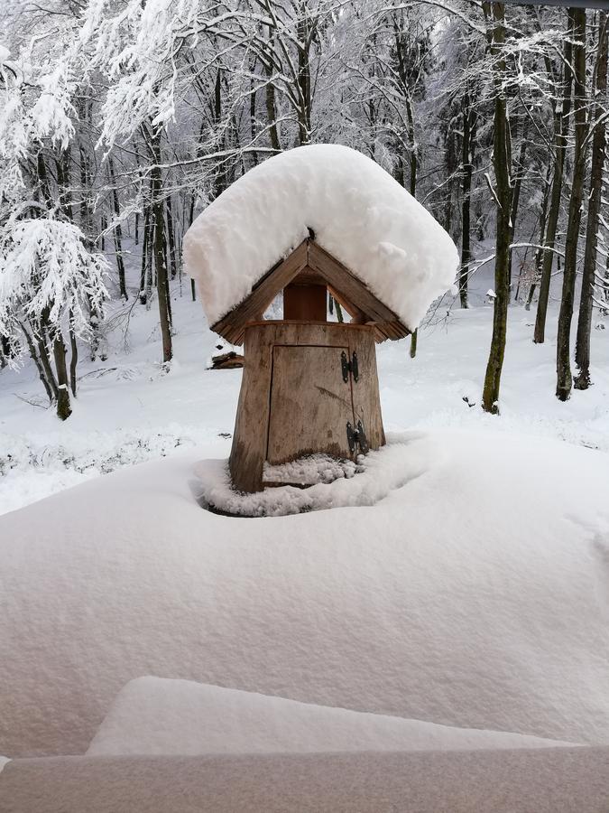 Koca Na Talezu Bed & Breakfast Ribno Dış mekan fotoğraf
