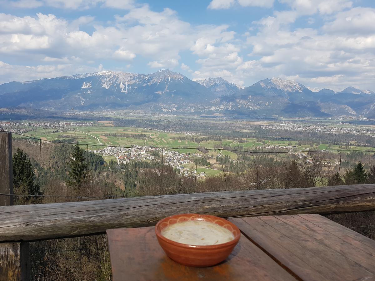 Koca Na Talezu Bed & Breakfast Ribno Dış mekan fotoğraf